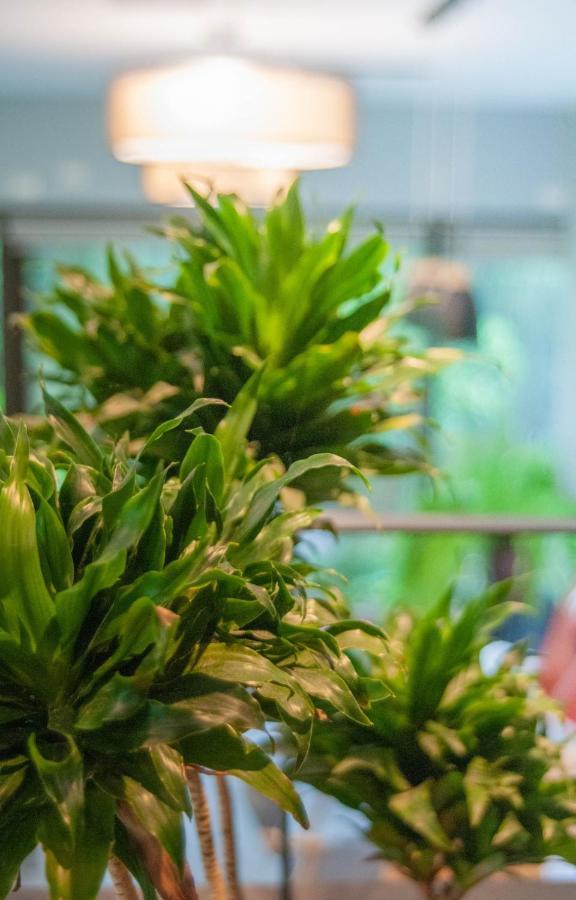 Siang Tsao Yu Chong Pension Sanyi Buitenkant foto